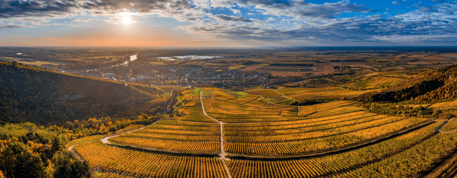 Soil, Water and Air: The Health of Hungarian Nature