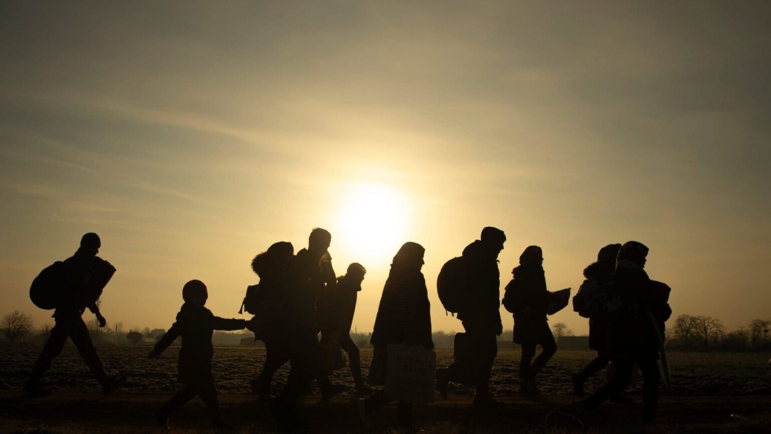 Late Civilizations and Mass Migration: Some Comparative Perspectives