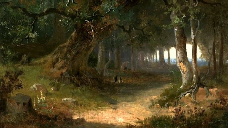 Who Is the Forest Walker? — Conservatism and the Preservation of Freedom in the Modern World