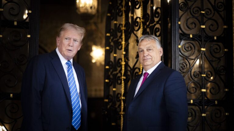 Hungarians Would Have Voted Overwhelmingly for Trump, Poll Finds