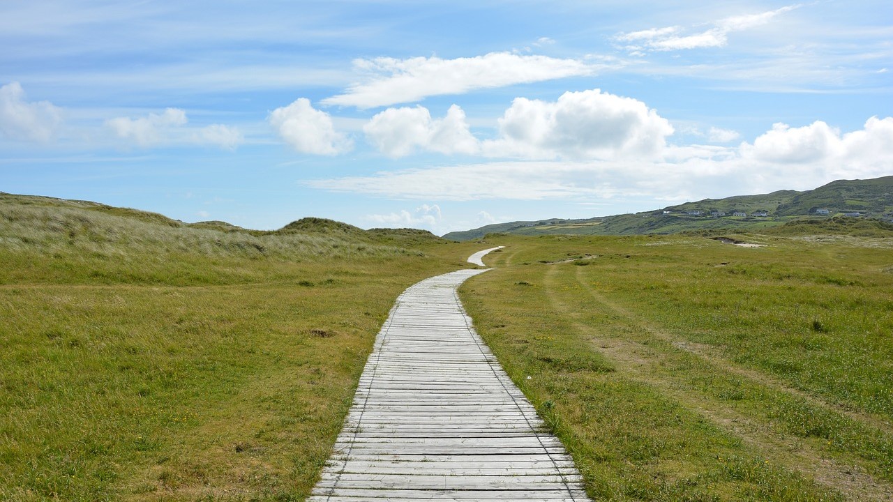 Zoltán Ács: The Road Less Traveled — A Book Review
