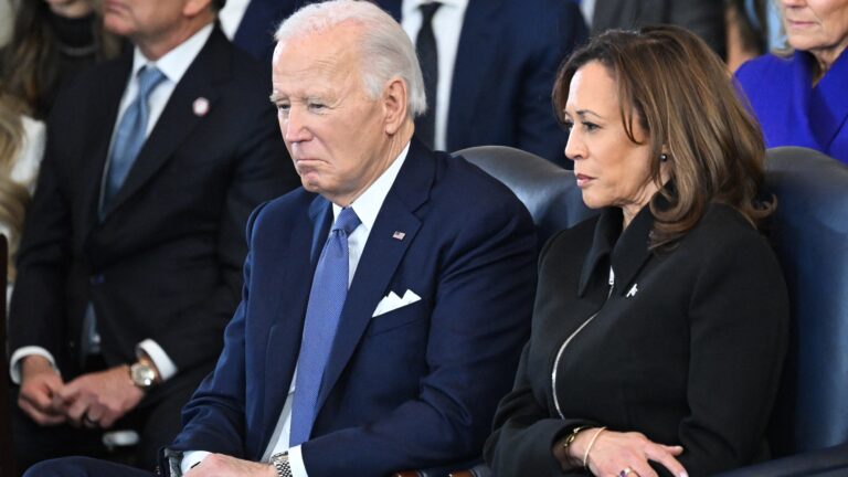 Kamala Harris Caught Cropping Biden Out of 4 July Photo