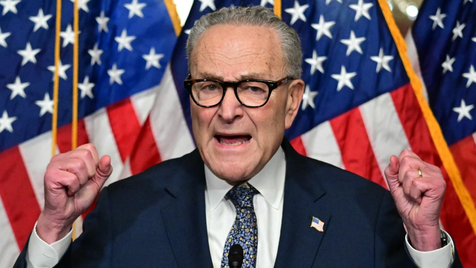 Dems against SNAP: Chuck Schumer’s Wreaking Havoc across the US