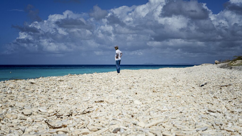 A fisherman looks out over the island.