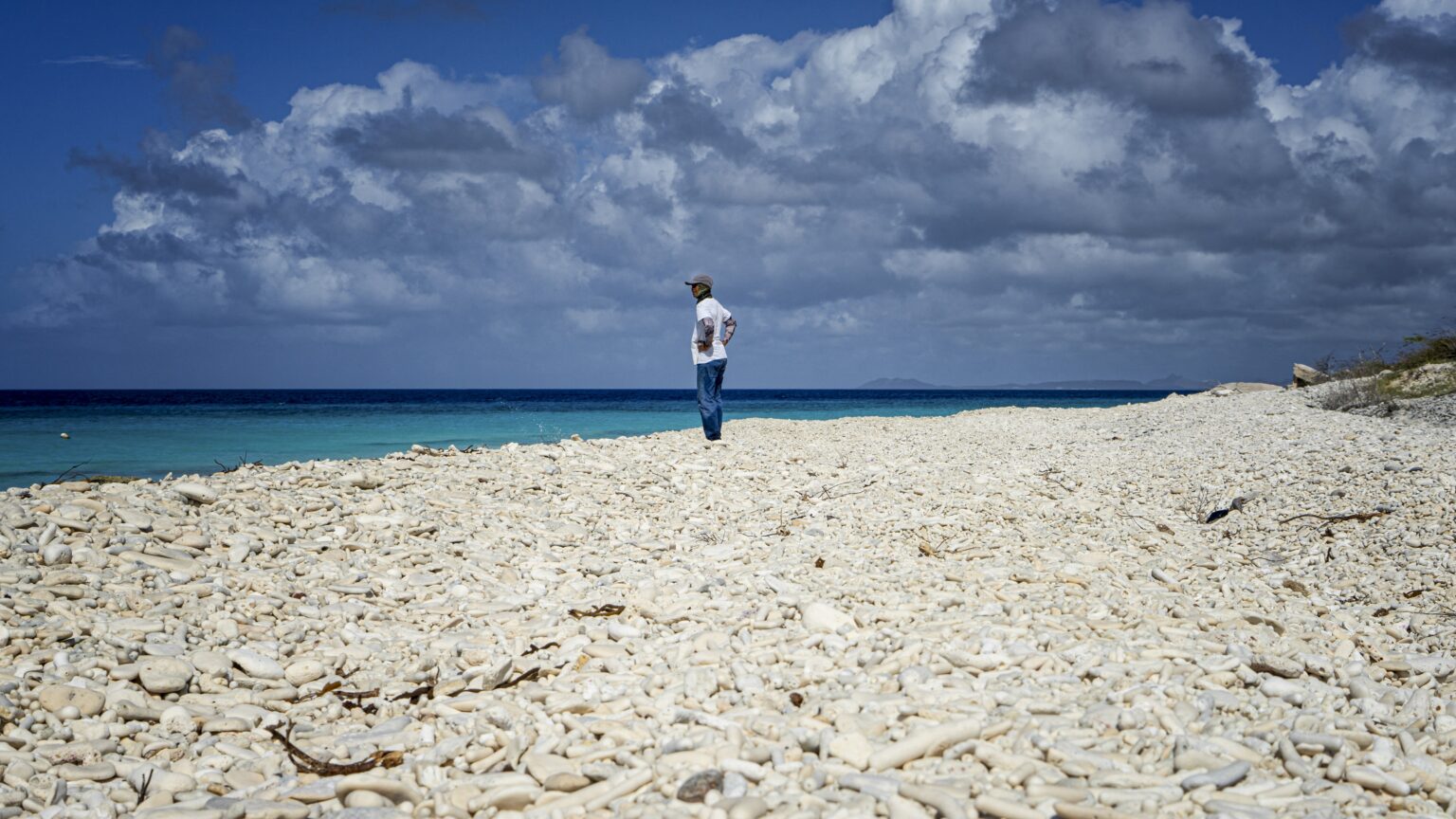 Protecting Vulnerable Territories from Climate Change: State Obligations Clarified in the Bonaire Case