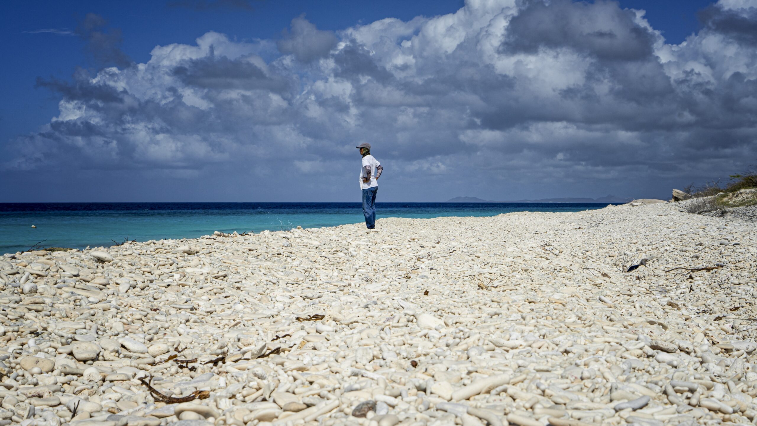 A fisherman looks out over the island.