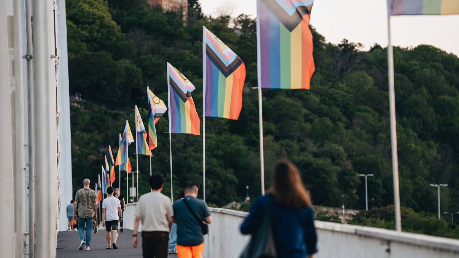 Tommy Robinson Defends Hungarian Man Who Removed Pride Flags from Bridge