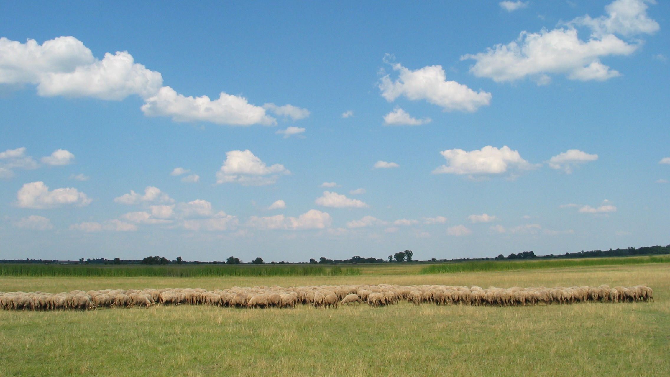 Hortobágy
