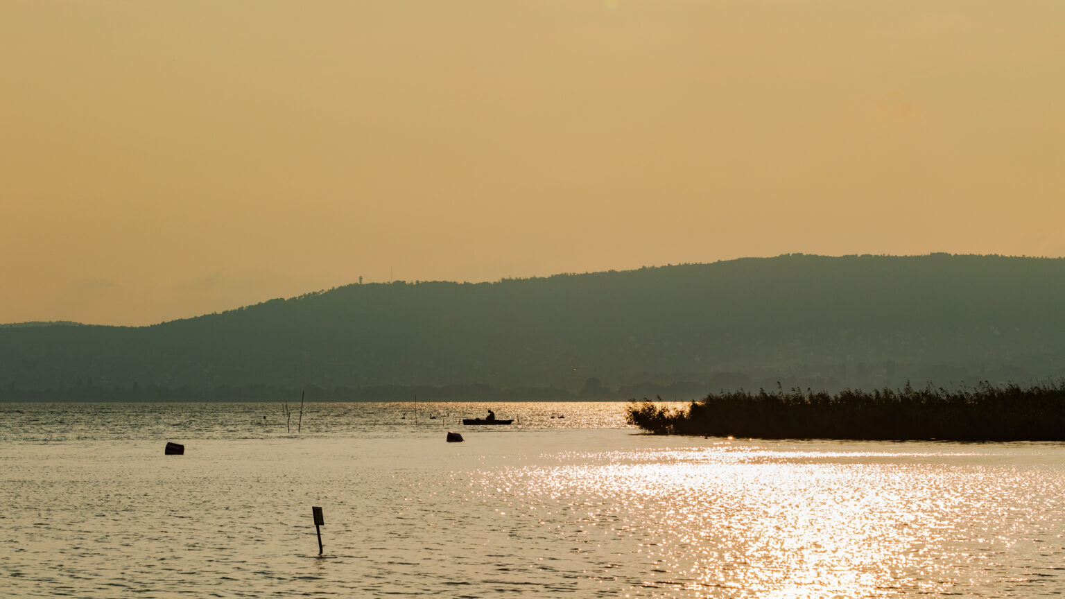 The Return of the Balaton Midge: Climate Change and a Growing Summer Nuisance