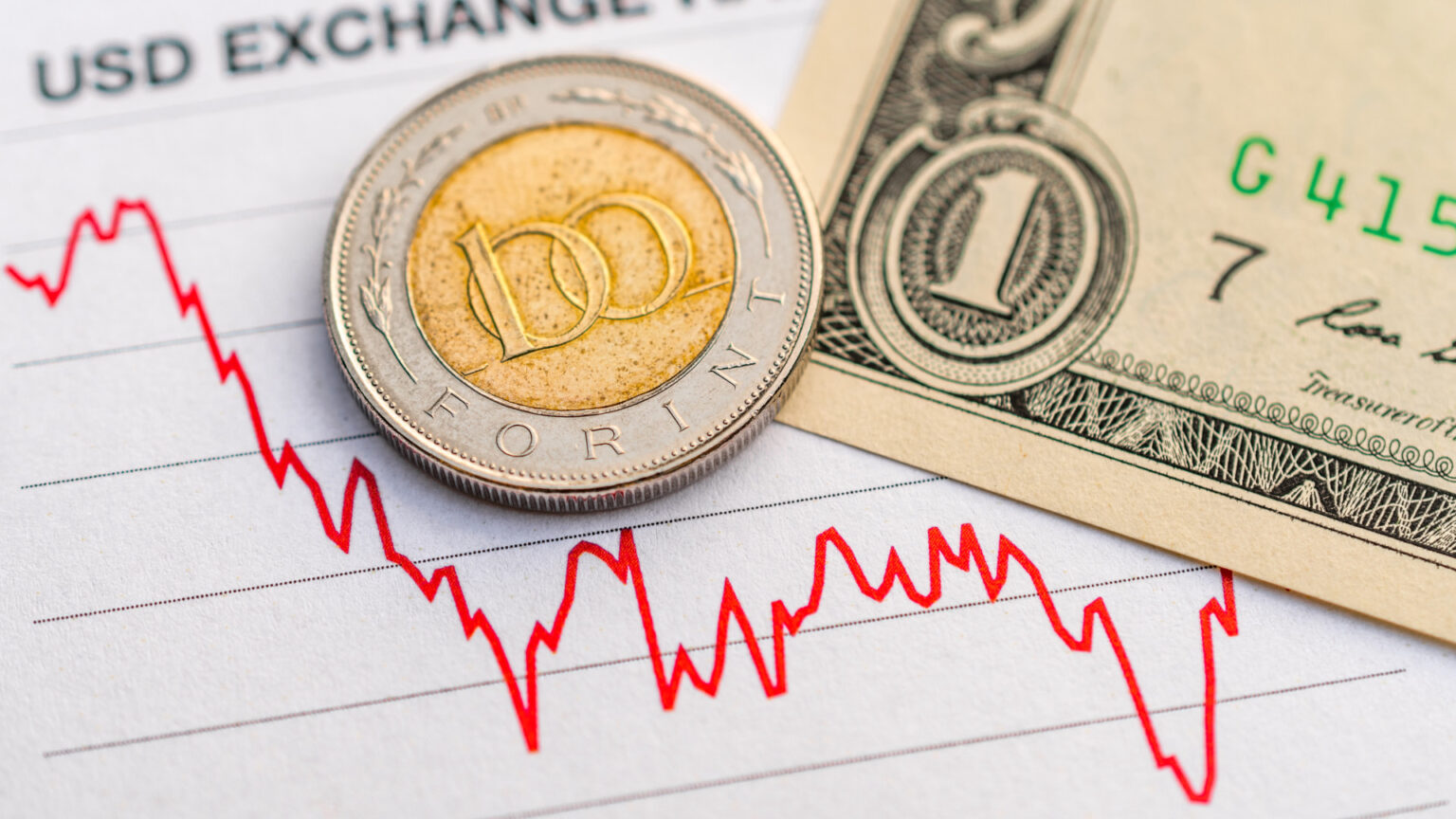 Who Benefits from a Strong Forint?